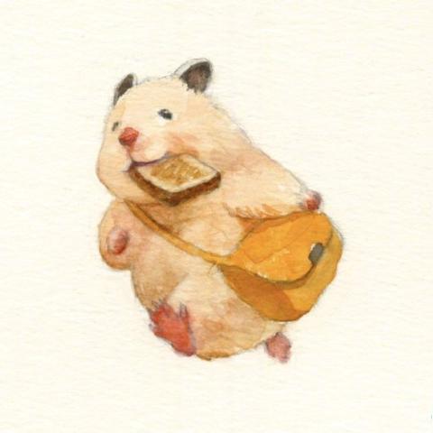 (仓鼠拟人图萌妹子)仓鼠拟人化：可爱少女们的萌萌日常生活