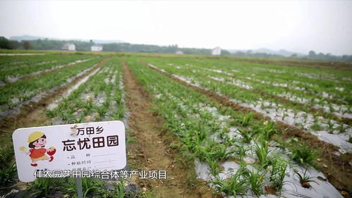 (有良田美景)这城有良田官网客服：专业团队为您解答各种问题